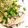 ☆糖質減らしてます☆'s cooksnap of when they made ☆ サワラのエスニック煮付け☆.