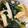 あっきー5296's cooksnap of when they made 小松菜とえのきだけと厚揚げの煮物.