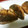 ねこはがき's cooksnap of when they made アジの簡単ムニエル.