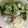 ﾌﾞﾚﾝﾀﾞ's cooksnap of when they made ＊簡単さっぱり蕎麦さらだ＊.