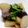 500k's cooksnap of when they made ぶり大根.