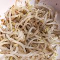クックO4YDAU☆'s cooksnap of when they made 簡単調理の酢もやし.