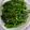 クックOROVI2☆'s cooksnap of when they made 副菜に！アスパラのバター焼き.