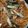 クック7FNN0F☆'s cooksnap of when they made いわし トマト煮.