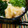 マダムカフェ♡'s cooksnap of when they made 大量の大根おろしはミキサーで☆.