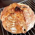 へてちょん's cooksnap of when they made クランベリーのカンパーニュ.