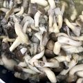 wnemu801's cooksnap of when they made 簡単きのこマリネ.