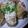 uuko's cooksnap of when they made 和風ロールキャベツ.