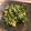Miporin☆15's cooksnap of when they made ほうれん草のツナ炒め.