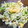 もいこ196482's cooksnap of when they made 春キャベツとふんわり卵のマヨネーズ和え.