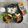 ◆◇Wtiti＊◇◆'s cooksnap of when they made お弁当にもOK!!さつまいも甘煮.