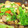 ビルメンズ's cooksnap of when they made ご飯が進む！鶏肉と舞茸の甘辛炒め.