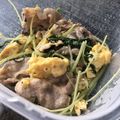 pゆみこqω｀＊）'s cooksnap of when they made 水菜と豚肉のふんわり卵チーズ炒め.