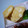 しゅんぺいのママ's cooksnap of when they made だし巻き玉子.
