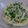Ocean_ray's cooksnap of when they made ツナと青ネギの和風パスタ.