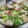 ナーちゃん's cooksnap of when they made 豆腐ときのこと青梗菜の中華旨煮.