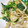 と厶＆でリー's cooksnap of when they made 小松菜と豚肉のみそ炒め.