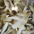 YUKO0627's cooksnap of when they made きのこと玉ねぎのマリネ。.