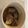 KAORU4649's cooksnap of when they made 鯖☆醤油煮.