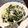 aliceくっく's cooksnap of when they made ほうれん草クリーム煮.