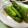 solapapa's cooksnap of when they made 簡単美味しい！アスパラの香り白だし漬け.