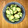 みき忠's cooksnap of when they made 超簡単！きゅうりともずくの酢の物.