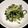 しょーちゃん巻き巻き's cooksnap of when they made 簡単！胡瓜の生姜ゆず胡椒和え.