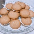 カーボンレッド's cooksnap of when they made マシュマロサンド.