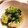 ちづりんも's cooksnap of when they made 三つ葉と大根おろしのポン酢和え.