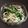 ☆こまっと☆'s cooksnap of when they made ダシダで簡単！ほうれん草ともやしのナムル.