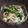 ☆こまっと☆'s cooksnap of when they made ダシダで簡単！ほうれん草ともやしのナムル.