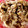 あけみん♪あけみん's cooksnap of when they made 豚肉と玉ねぎの照りマヨ炒め♪お弁当にも◎.