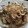 ユーロン's cooksnap of when they made きのこたっぷり☆豚肉焼肉のたれ炒め.