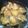 パトラ☆☆'s cooksnap of when they made 煮るだけ！簡単！ 鶏の照り焼き.