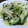 なるこォ's cooksnap of when they made 簡単！小松菜とキャベツの青菜炒め☆.