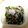 ロイヤルミルク♪'s cooksnap of when they made 豚ニラ炒め.