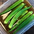 R2016's cooksnap of when they made さっぱり！おくらのめんつゆ夏浸し.