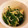 あかにーー's cooksnap of when they made 水菜としらすの煮浸し.
