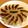 丘のタヌキちゃん's cooksnap of when they made 失敗無し！羽根付き餃子の焼き方♪.