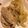 クック6DJFBA☆'s cooksnap of when they made 豚ロース肉の生姜焼き☆新玉ねぎ添え.