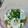 クックODBSJ9☆'s cooksnap of when they made 白だしと冷奴.