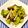 にきけん's cooksnap of when they made そら豆のごま風味炒め.