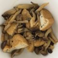 いずみはる's cooksnap of when they made ホッとする がんもどきとしめじの煮物.