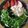hiromi17's cooksnap of when they made 時短！簡単！シーチキンサラダうどん.