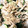 クックOZNA86☆'s cooksnap of when they made ささみときゅうりのごま和え.