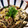 低カロ探検隊's cooksnap of when they made 茄子とエノキの玉子とじ.