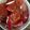 クックODBSJ9☆'s cooksnap of when they made 冷やしトマト.