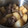 るかーる's cooksnap of when they made イカ、大根、厚揚げの煮物【圧力鍋使用】。.