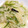 つっ君's cooksnap of when they made じゃがいもとピーマンの中華風炒め.