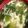 クックE2OHKS☆'s cooksnap of when they made 小松菜たまごスープ【JAほこた】.